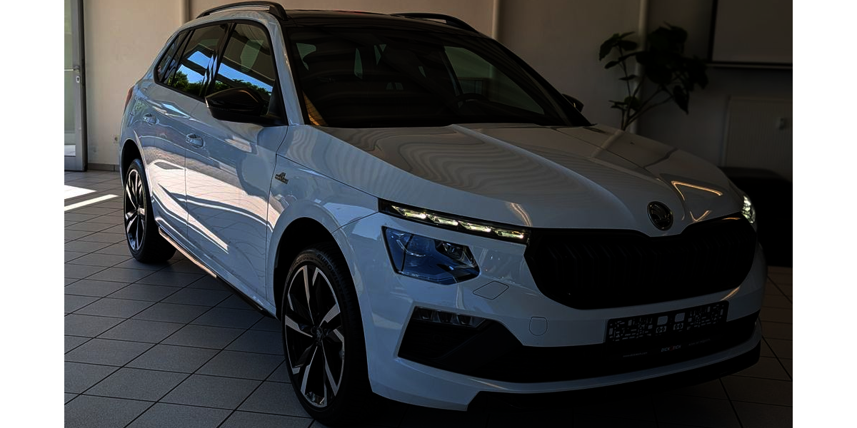 Skoda Kamiq 18.680 km 27.480 &euro; Homberg (Efze) 34576