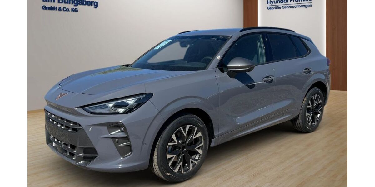 Cupra Terramar 6.500 km 39.990 &euro; Eutin 23701