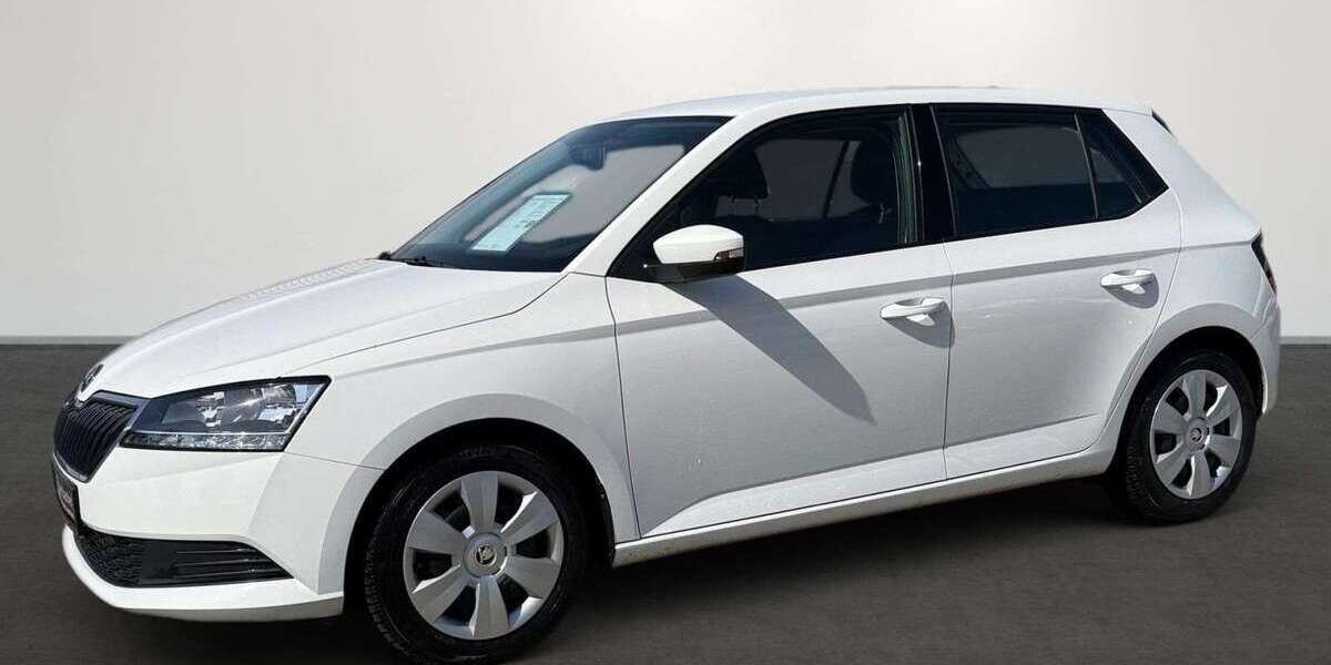 Skoda Fabia 42.798 km 13.950 &euro; Grünstadt 67269