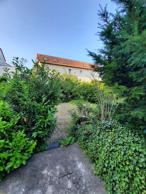 Wohnung zum Mieten in Hildesheim 644 € 55.94 m²