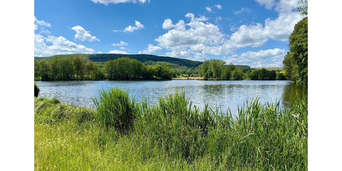 Grundstück Schwallungen - 15.000&euro; | Angebot:20813304