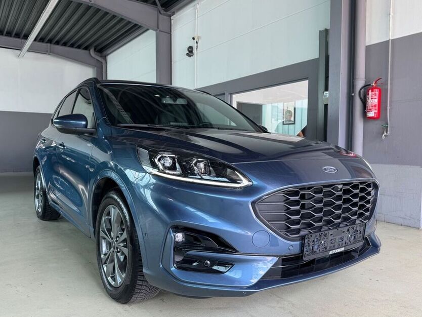 Kuga