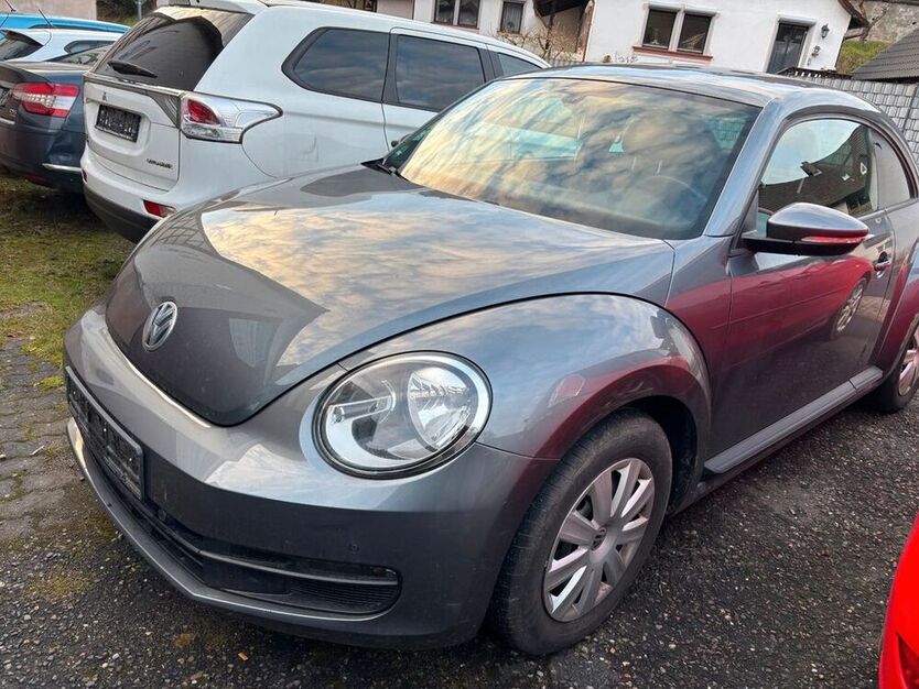 Beetle