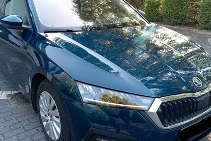 Skoda Octavia 55.000 km 18.500 &euro; Turnow-Preilack 03185