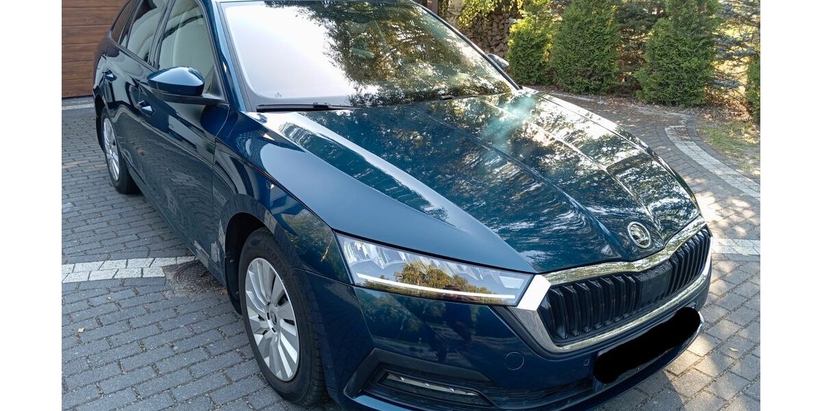 Skoda Octavia 55.000 km 18.500 &euro; Turnow-Preilack 03185