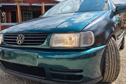 VW Polo