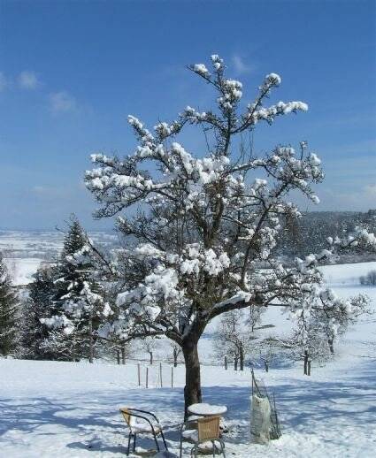 Grundstück Flachslanden Virnsberg - 98.000&euro; | Angebot:25663002