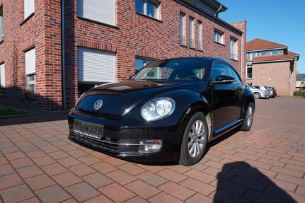 VW Beetle