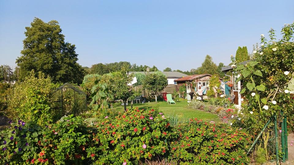 Bungalow Ueckermünde - 1 Zimmer, 45 m&sup2;, 49.000&euro; | Angebot:26321272