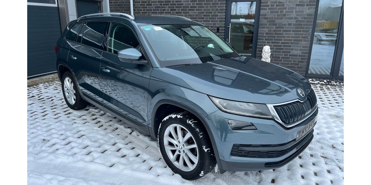 Skoda Kodiaq 195.000 km 16.779 &euro; Neuenhaus 49828