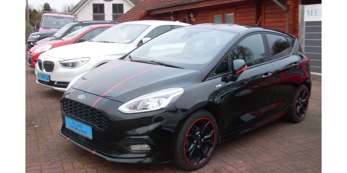 Ford Fiesta 119.800 km 11.800 &euro; Alt-Mölln 23881