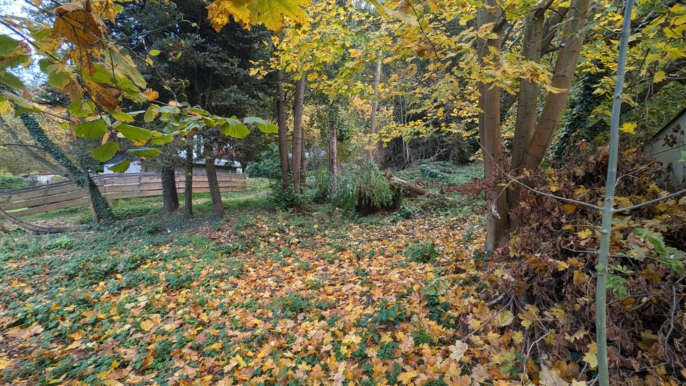 Grundstück Pirna - 119.000&euro; | Angebot:25745354