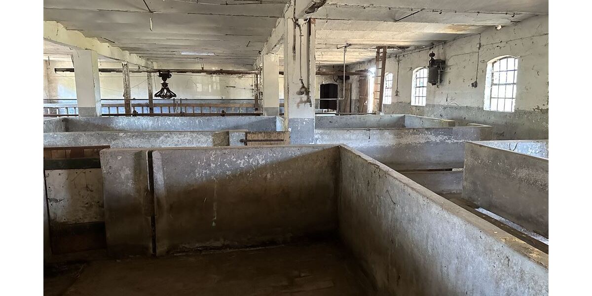 Großes Anwesen am Weser-Radweg, ideal für Pferdehaltung & Hofcafé - Gewerbeobjekt Stolzenau | Angebot:25925658