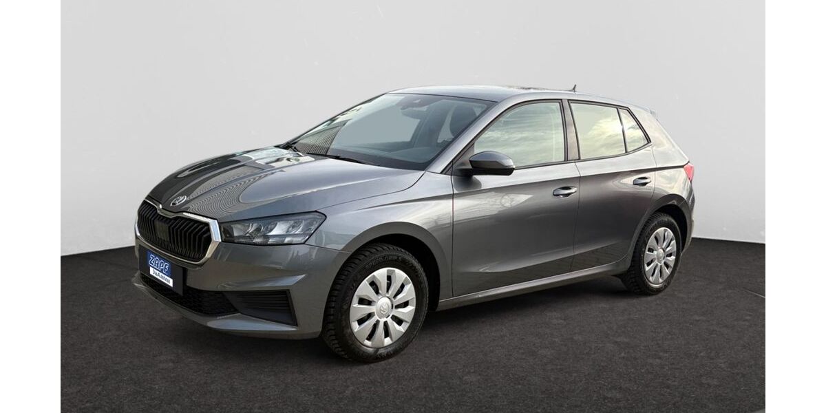 Skoda Fabia 53.400 km 13.890 &euro; Hof 95032