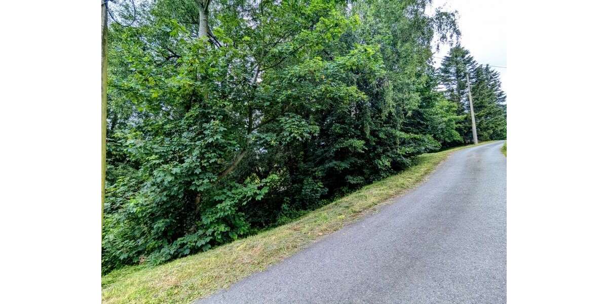 Grundstück Bad Gottleuba - 49.900&euro; | Angebot:16946104