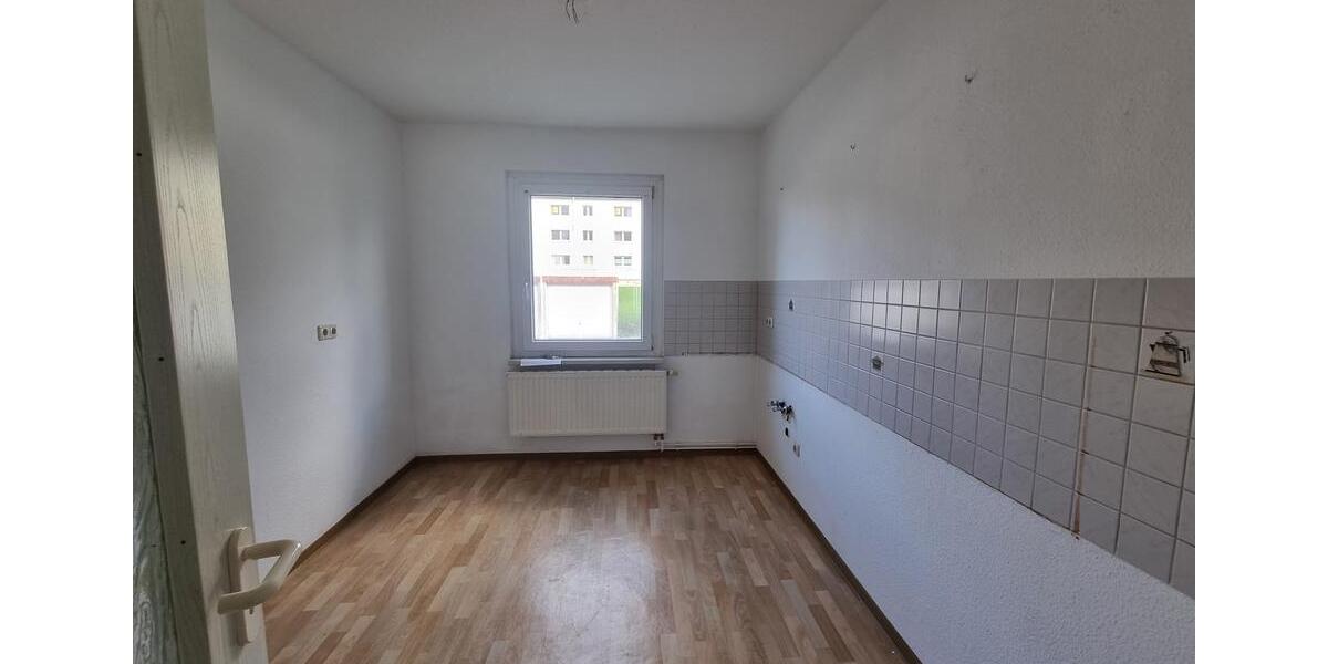 Ankommen und wohlfühlen ! Ihre gemütliche Singlewohnung im schönen Hayn-Jetzt mit 300€* Gutschein 1 zimmer