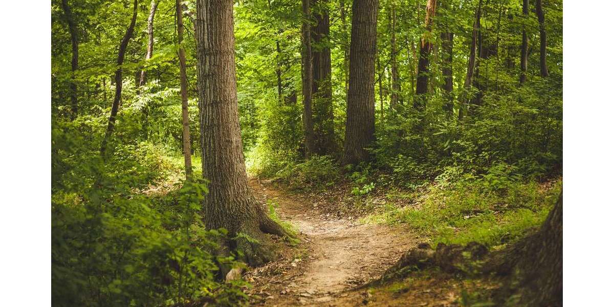 Grundstück Westerkappeln - 38.900&euro; | Angebot:24381865