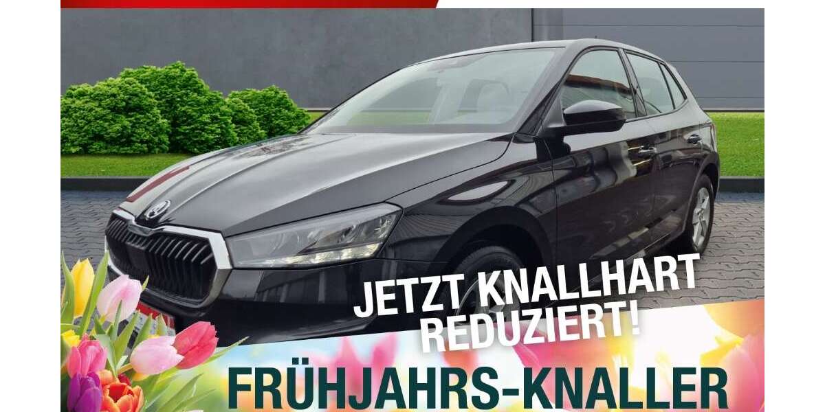 Skoda Fabia 52.578 km 15.870 &euro; Marktredwitz 95615