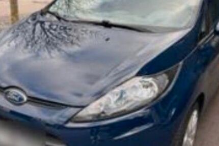 Ford Fiesta 217.000 km 1.250 € Rheine 48431
