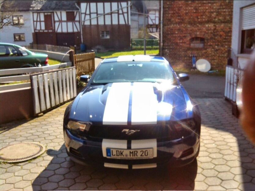 Mustang