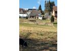 Einfamilienhaus Kall - 6 Zimmer, 100 m&sup2;, 70.000&euro; | Angebot:27121368