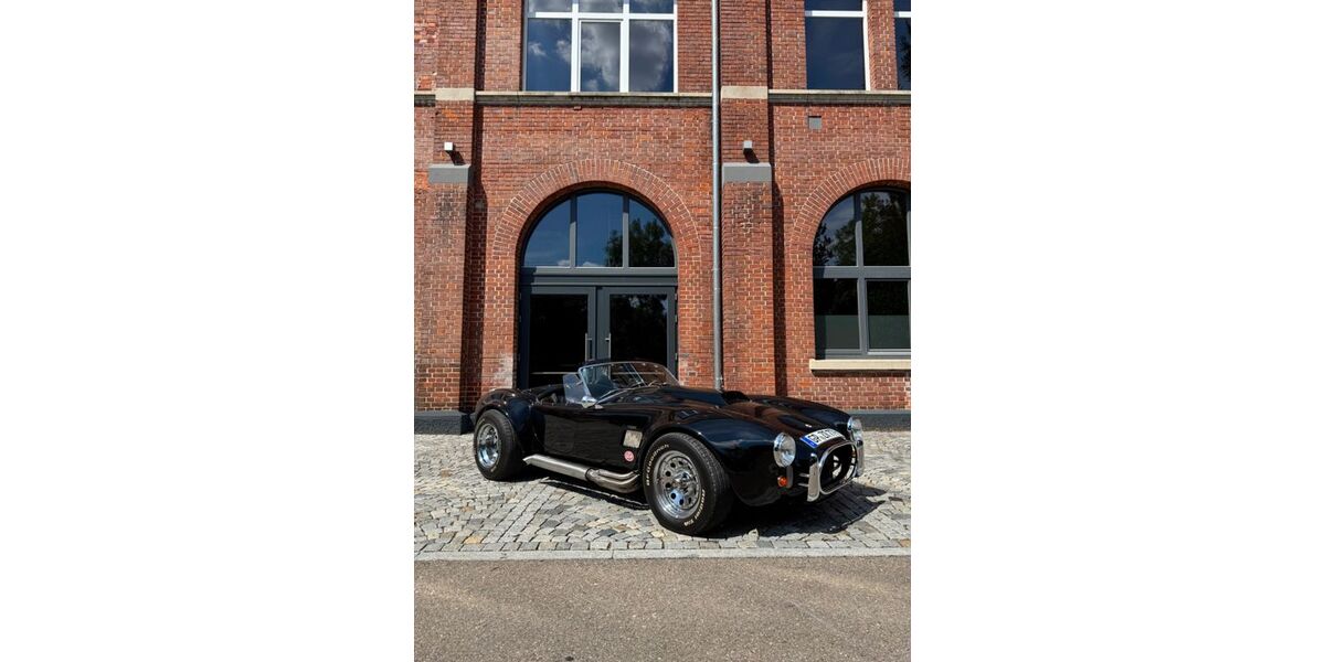 Cobra Andere 12.500 km 90.000 &euro; Eislingen 73054