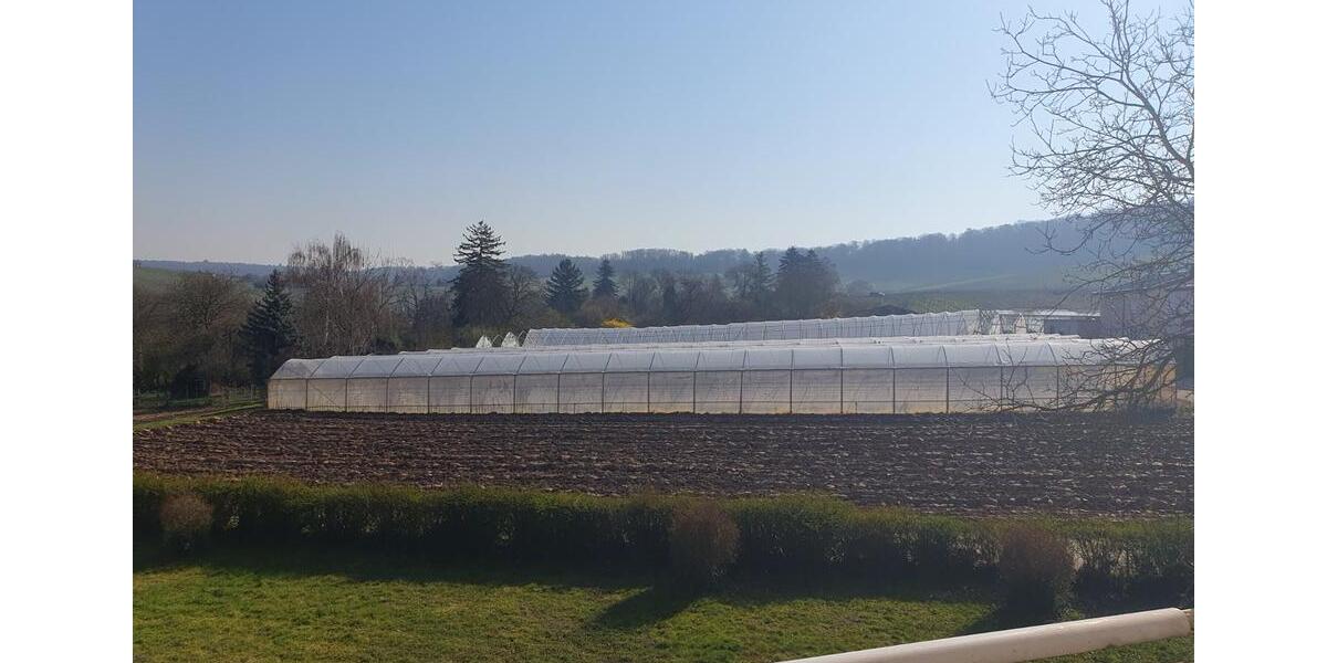 Etagenwohnung Heilbronn Horkheim - 5 Zimmer, 126 m&sup2;, 420.000&euro; | Angebot:25320743