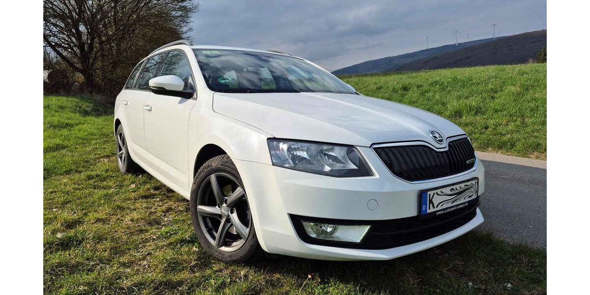Skoda Octavia 146.282 km 8.290 &euro; Seibersbach 55444