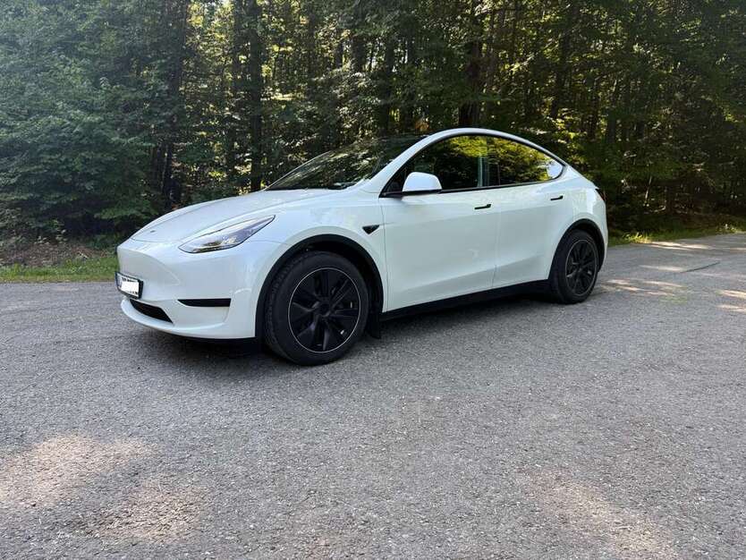 Model Y