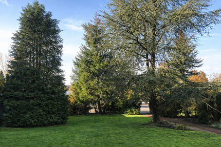 Abrissgrundstück in exklusiver und sehr schöner Lage von Münster- St. Mauritz - Grundstück Münster / Ost Ost | Angebot:24794059