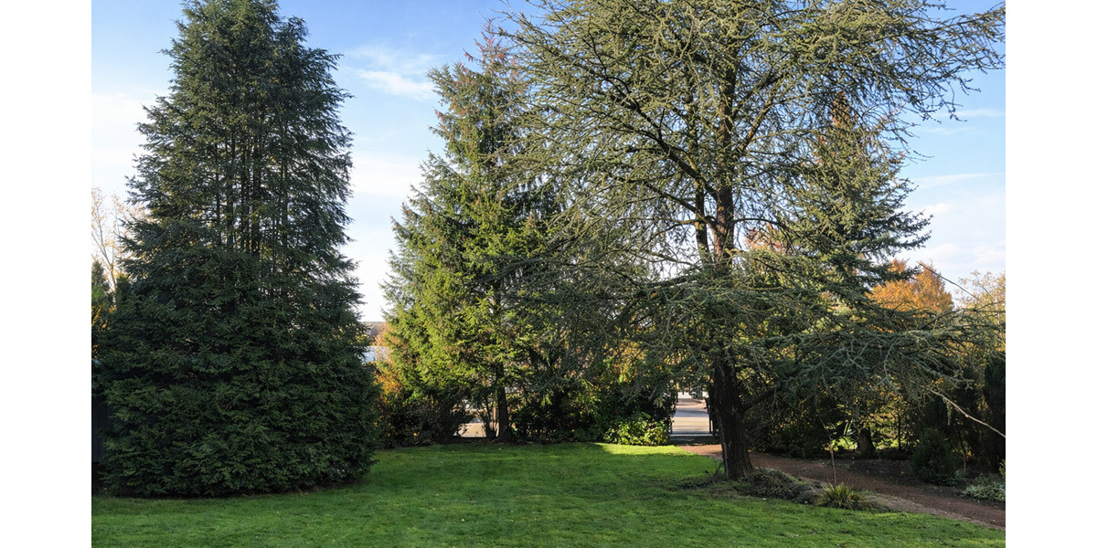 Abrissgrundstück in exklusiver und sehr schöner Lage von Münster- St. Mauritz - Grundstück Münster / Ost Ost | Angebot:24794059