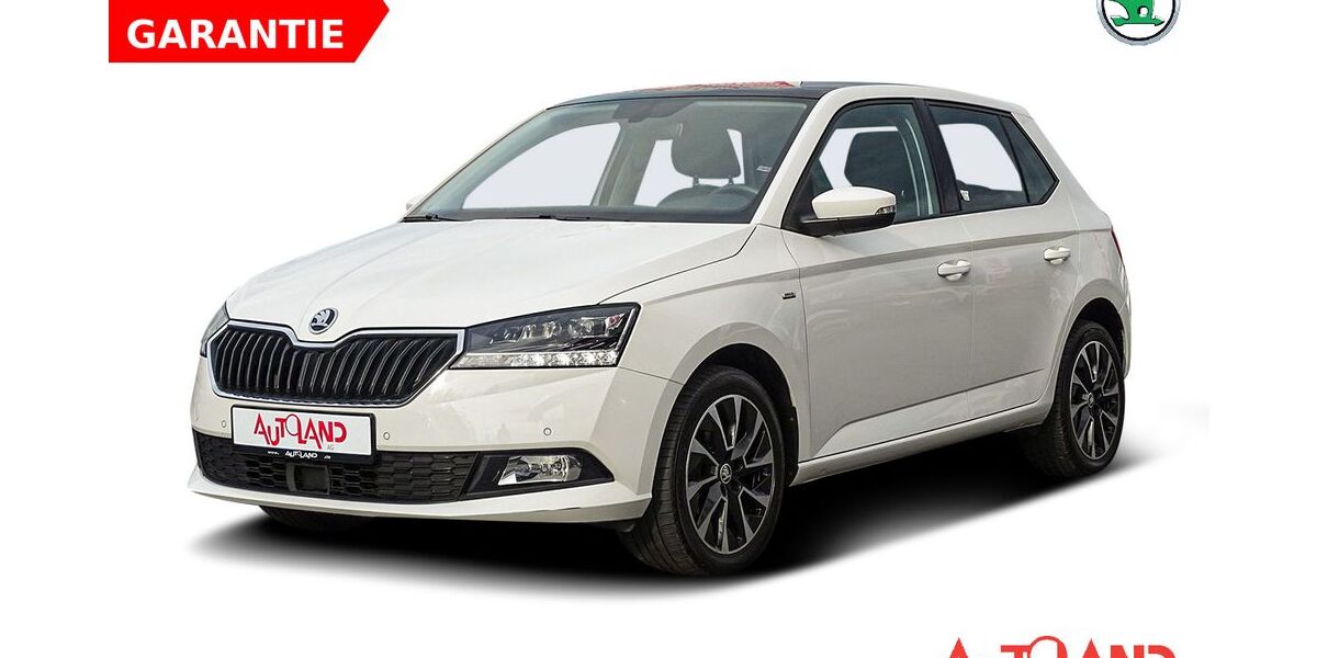Skoda Fabia 64.406 km 14.950 &euro; Eisleben 06295