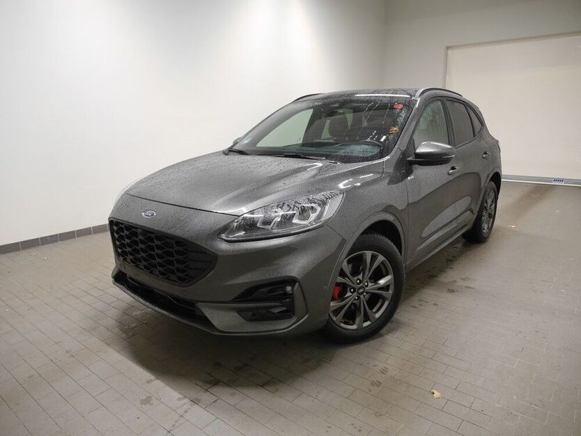 Kuga