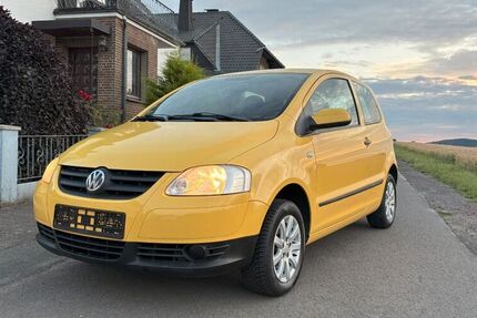 VW Fox