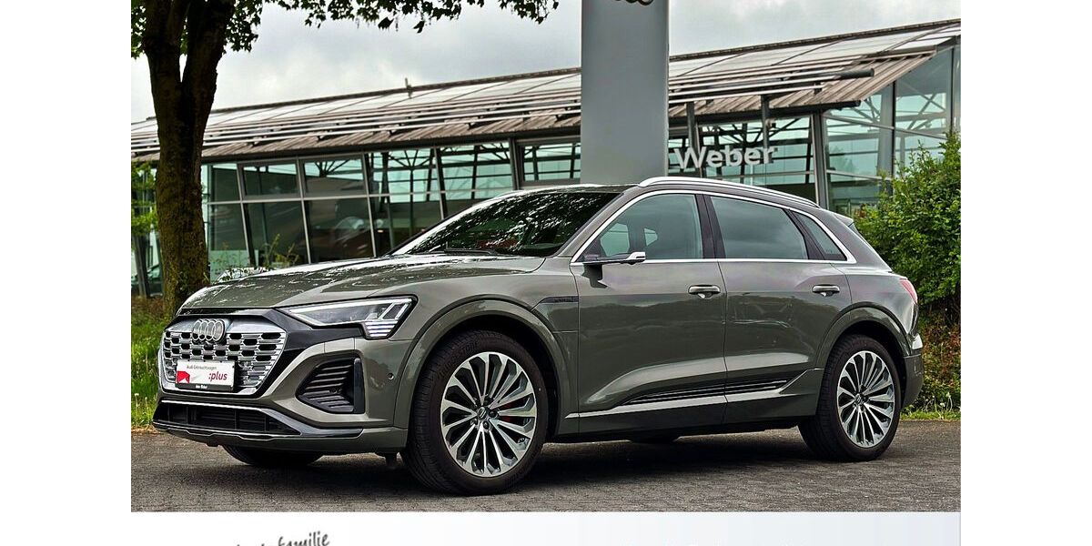 Audi Q8 e-tron 51.290 km 56.470 &euro; Neubeckum 59269