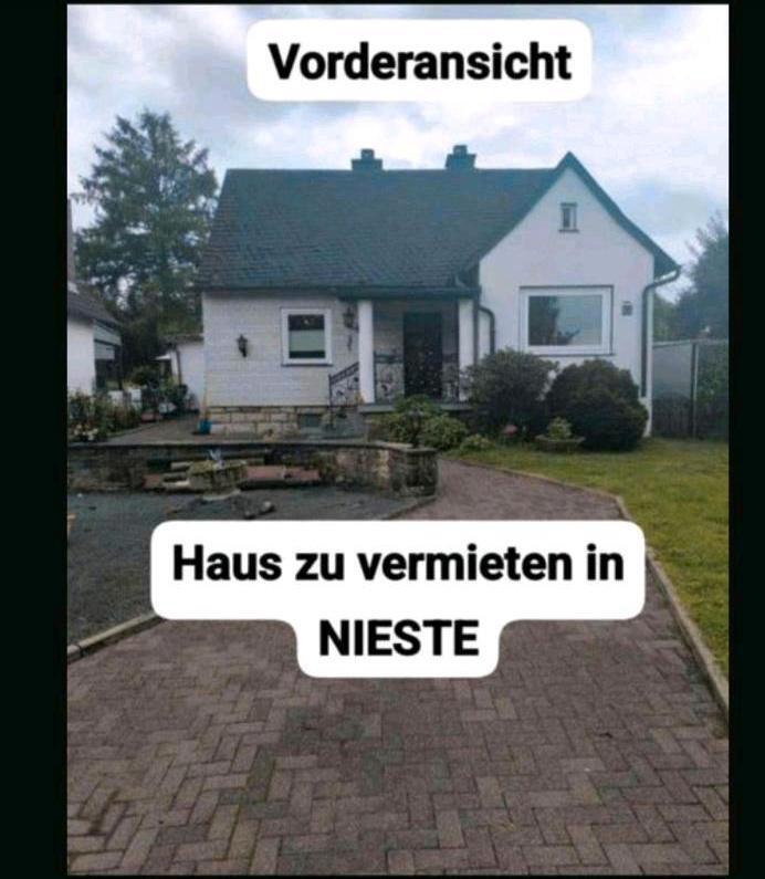 Haus in nieste zu vermieten zimmer