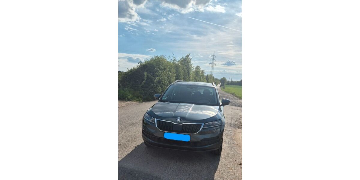 Skoda Karoq 82.000 km 21.000 &euro; Ladenburg 68526