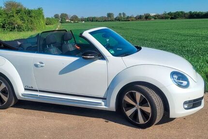 VW Beetle