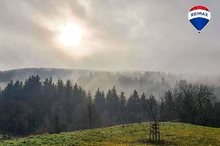 Haus Bonndorf - 10 Zimmer, 225 m&sup2;, 890.000&euro; | Angebot:23815034