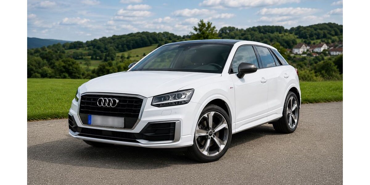 Audi Q2 120.000 km 22.000 &euro; Waldshut-Tiengen 79761