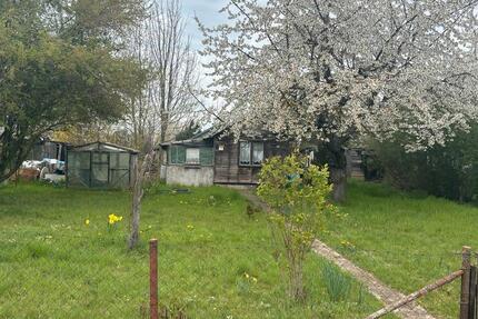 Grundstück Mühlhausen (Thüringen) - 250&euro; | Angebot:26237192