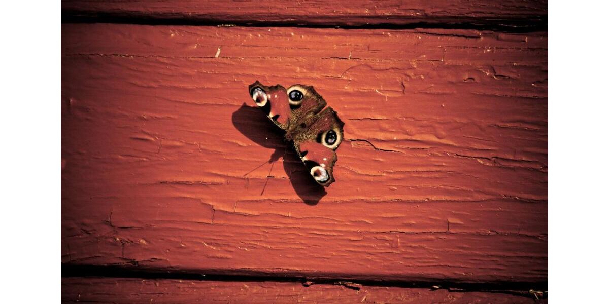 Einfamilienhaus Goldberg - 2 Zimmer, 52 m&sup2;, 149.000&euro; | Angebot:25786660