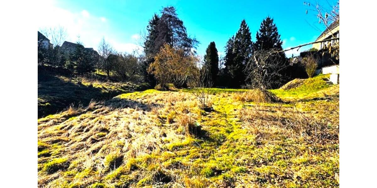 Bauernhaus, Landhaus Weißenfels - 9 Zimmer, 100 m&sup2;, 125.000&euro; | Angebot:25902676