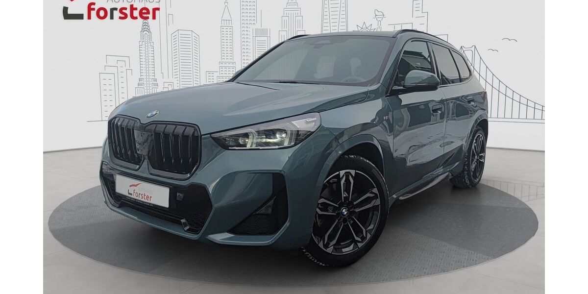 BMW X1 32.900 km 43.990 &euro; Altenstadt 92665