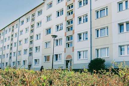 Wohnung Prenzlau - 2 Zimmer, 50 m&sup2;, 355&euro; | Angebot:27314328
