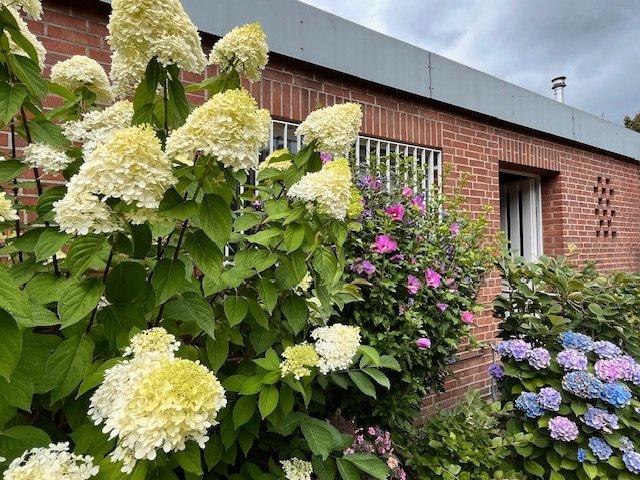 Bungalow Düsseldorf Stadtbezirk 6 - 4 Zimmer, 106 m&sup2;, 295.000&euro; | Angebot:26762289