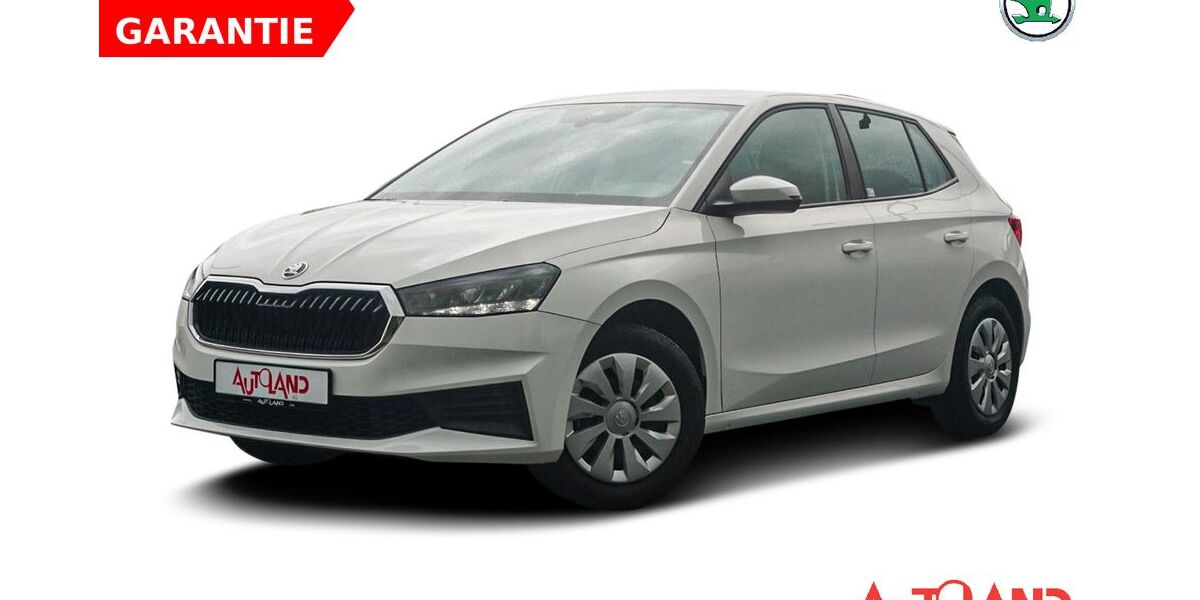 Skoda Fabia 6.295 km 15.950 &euro; Schwerin 19061