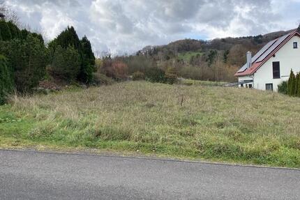 Grundstück Rammelsbach - 30.000&euro; | Angebot:23662017