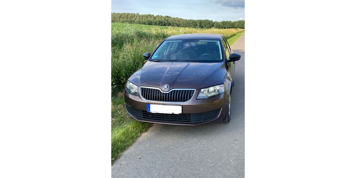 Skoda Octavia 101.200 km 7.500 &euro; Amelinghausen 21385