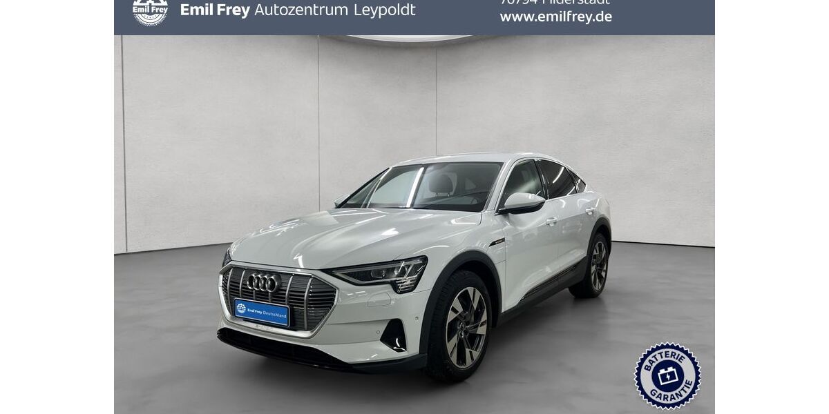 Audi e-tron 75.040 km 26.890 &euro; Filderstadt 70794
